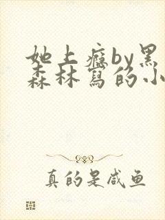 她上瘾by黑暗森林写的小说免费阅读无弹窗