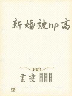 新婚被np高h