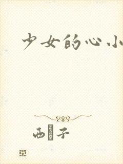 少女的心小说