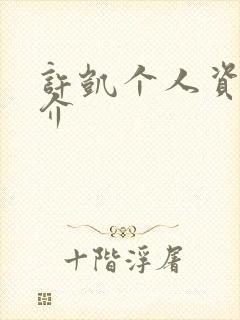 许凯个人资料简介