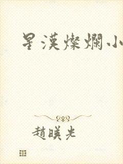 星汉灿烂小说