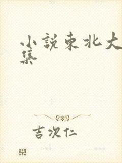 小说东北大炕全集