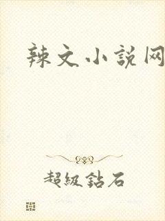 辣文小说网