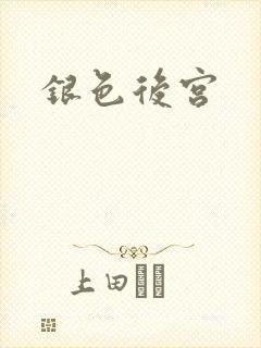 银色后宫