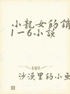小龙女的销魂夜1一6小说