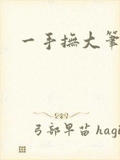 一手抚大笔趣阁
