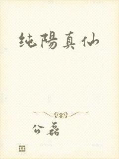 纯阳真仙