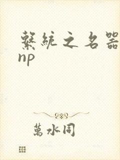 系统之名器攻略np