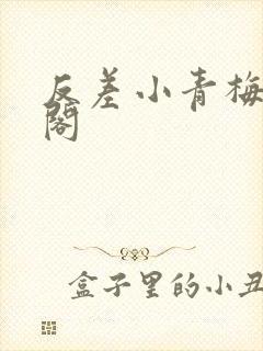 反差小青梅笔趣阁
