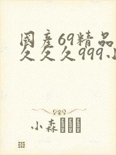 国产69精品久久久久999小说