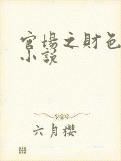 官场之财色诱人小说