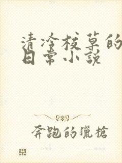 清冷校草的堕落日常小说