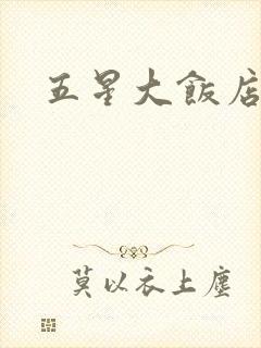 五星大饭店小说