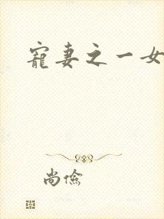 宠妻之一女二夫