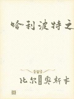 哈利波特之守护