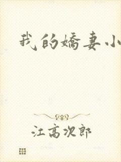 我的娇妻小说