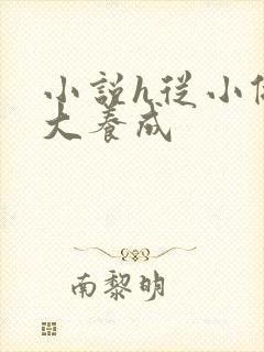 小说h从小做到大养成