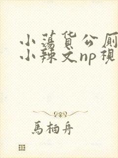 小荡货公厕h文小辣文np视频