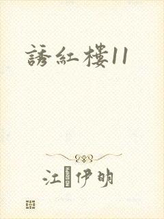 诱红楼11