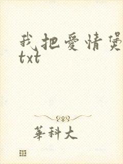 我把爱情煲成汤txt