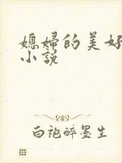 媳妇的美好时代小说