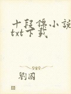十段锦小说全本txt下载