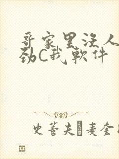 哥家里没人使点劲C我软件