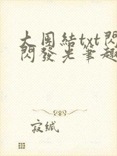 大团结txt闪闪发光笔趣阁