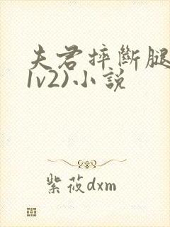 夫君摔断腿后(1v2)小说