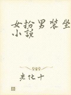 女扮男装坐江山小说