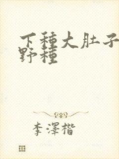 下种大肚子怀孕野种