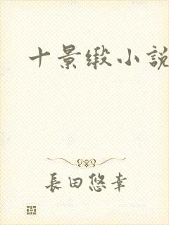 十景缎小说