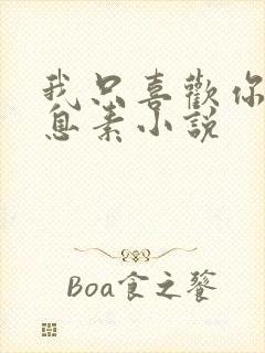 我只喜欢你的信息素小说