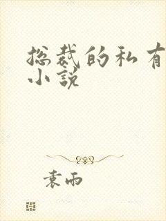 总裁的私有宝贝小说