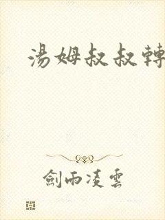 汤姆叔叔转接口