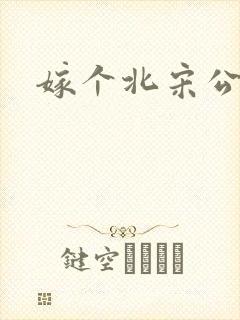 嫁个北宋公务员