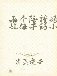 两个陪读妈妈赵姐梅子的小说