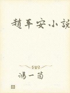 赵平安小说主角