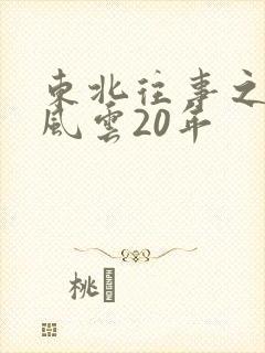 东北往事之黑道风云20年