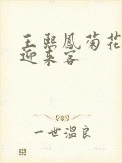 王熙凤菊花门初迎来客