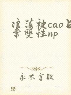 浪荡被cao日常双性np