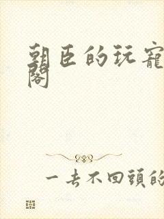 朝臣的玩宠笔趣阁