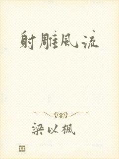 射雕风流