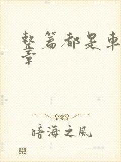 整篇都是车的文章