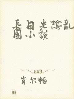 长日光阴乱作一团小说