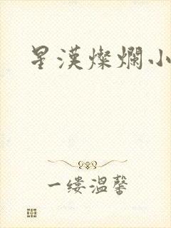 星汉灿烂小说