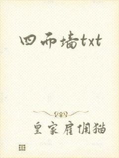 四面墙txt