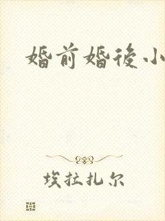 婚前婚后小说