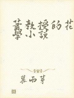 萧教授的花式教学小说