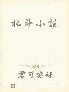 北斗小说